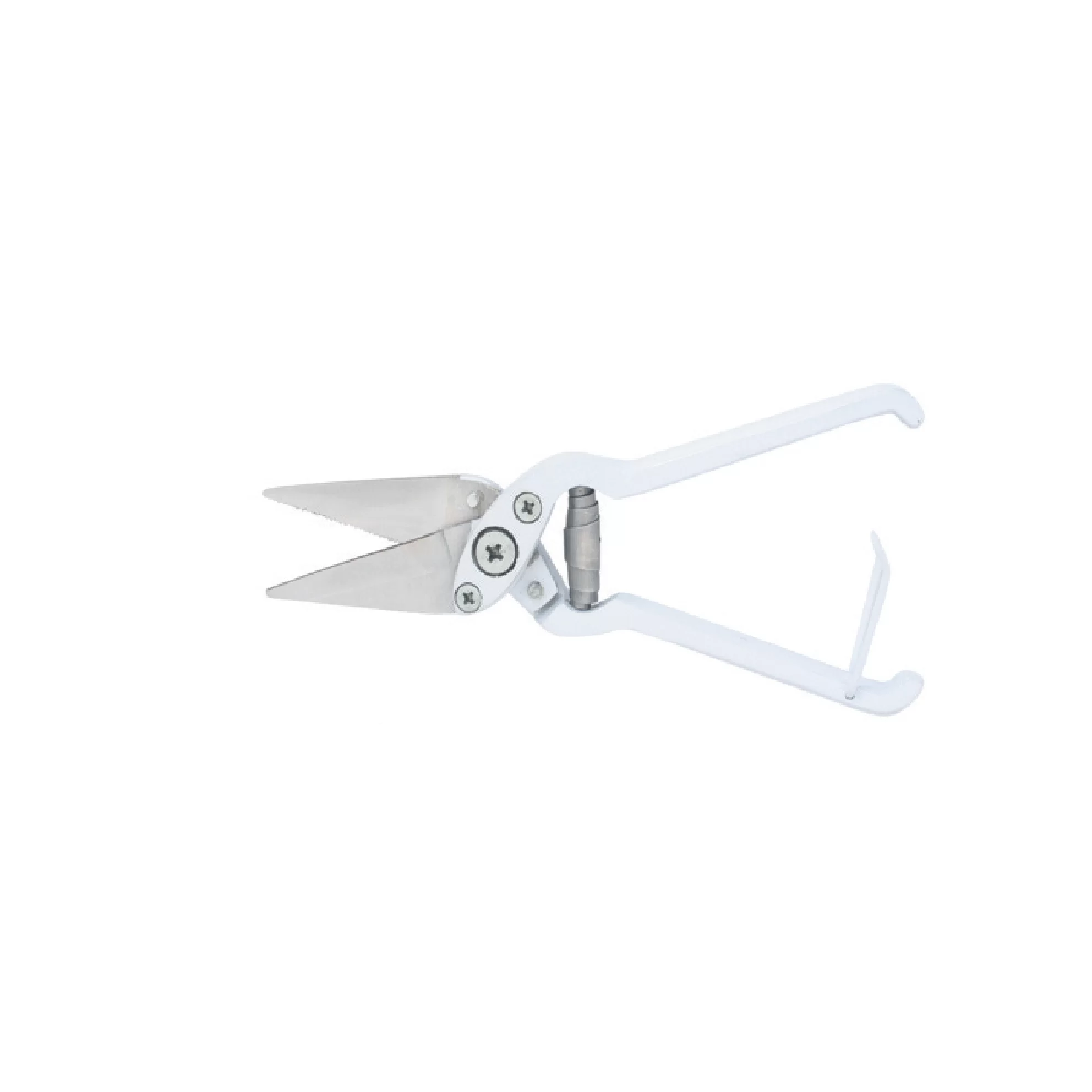 1-23_24-46_merged_138.webp