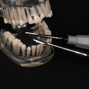 Dental Root Elevator